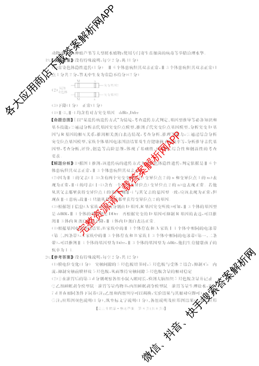 广东省2026届高三2月开学考试(2.26)各科答案及试卷（9科全）生物答案