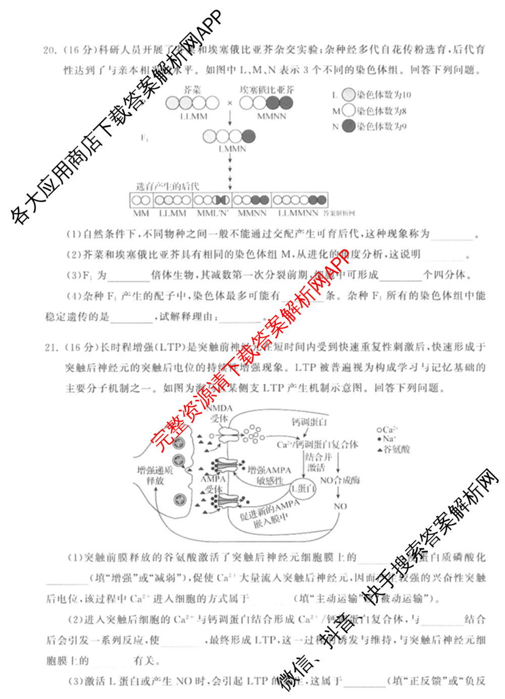 天舟高考衡中同卷2026年普通高等学校招生全国统一考试模拟信息卷(四)4试卷及答案汇总: 含历史(GY) 地理(WY) 理综(新疆版)试卷解析生物试题
