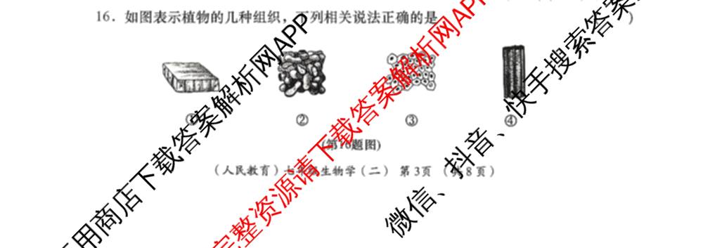 陕西省2025-2026学年度第一学期周期学业能力评鉴(无字母)七年级(二)试卷及答案汇总（含地理(人民教育)、历史、生物(人民教育)等）生物试题