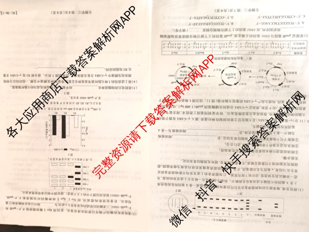 2026届智慧上进名校学术联盟高考模拟信息卷&冲刺卷&预测卷(三)3试卷及答案汇总（45科全）生物试题