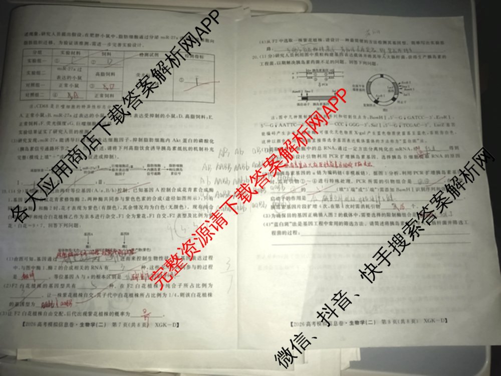 2026年普通高等学校招生全国统一考试模拟信息卷(二)2(已更新政治(XGK-A)、物理(XGK-B)、语文(XGK-A)等13份)生物试题