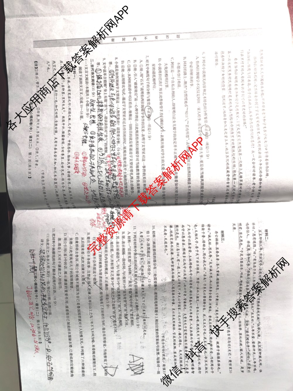 九师联盟2024~2025学年高三核心模拟卷(中)(二)2各科答案及试卷: 含政治(JX) 生物(D1) 生物(HB)试卷解析语文试题