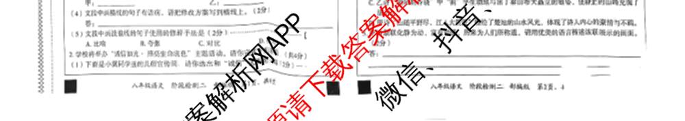 2025-2026学年第一学期阶段性学业检测二八年级: 含语文(部编版)、语文、历史(部编版)试卷解析语文试题