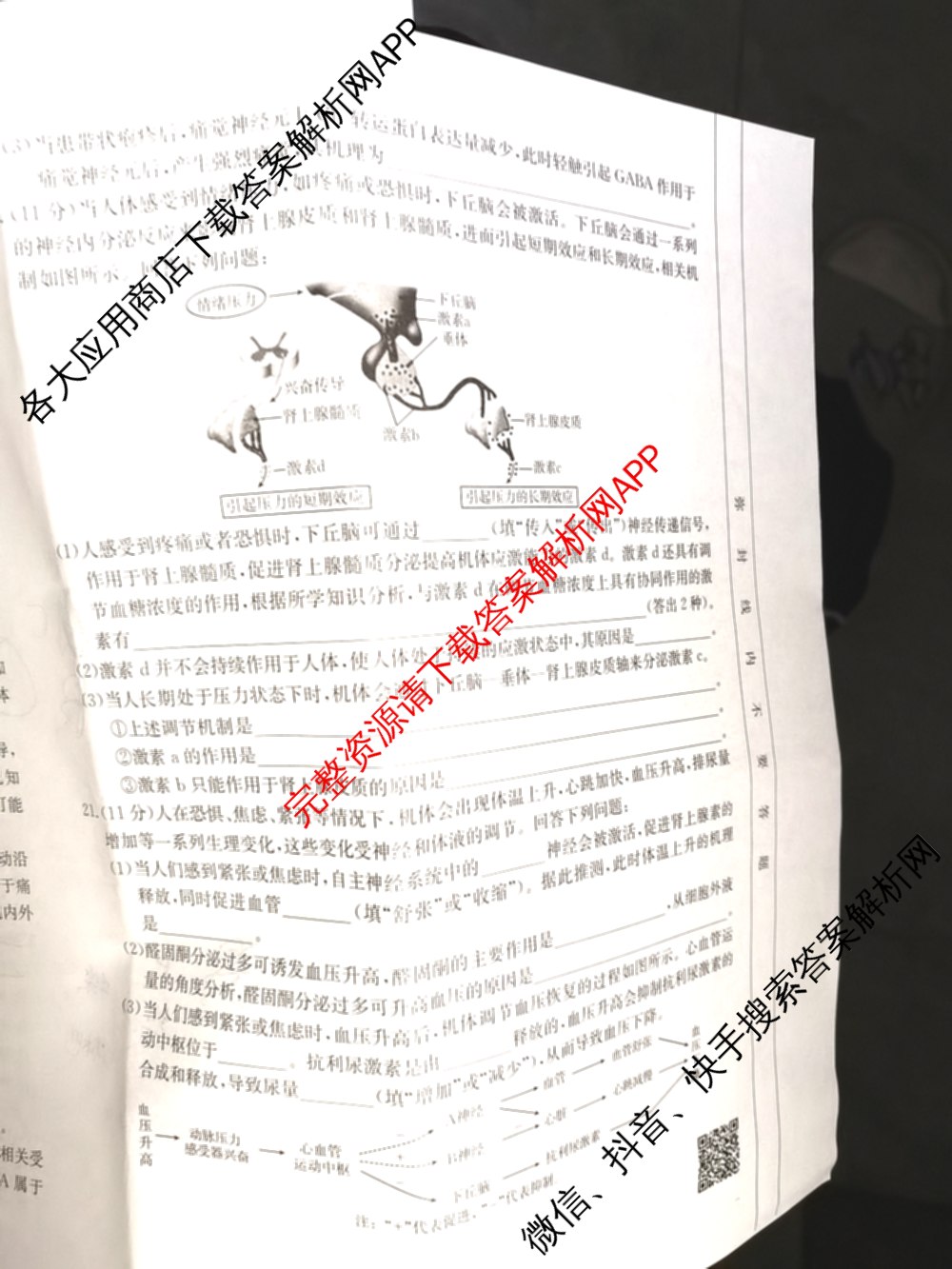 陕西省2024-2025高二10月联考(10.8)试卷及答案汇总: 含生物、数学、地理试卷解析生物试题