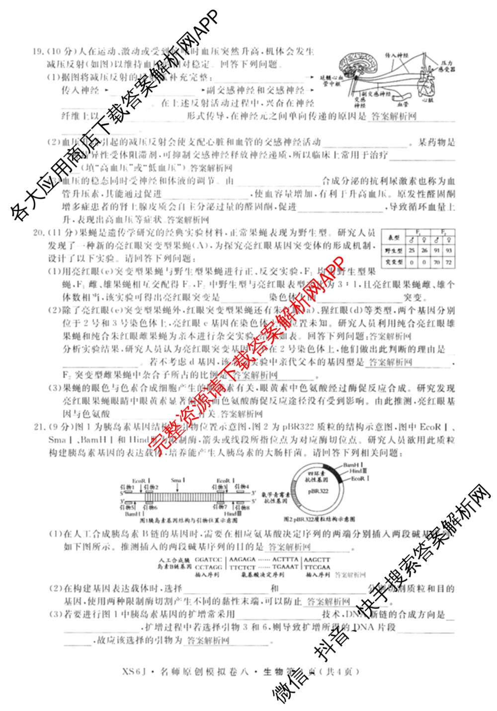 2026届高三总复名师原创模拟(八)8各科答案及试卷(已更新生物(XS6)、历史(XS6J)、历史(新S6J)等39份)生物试题