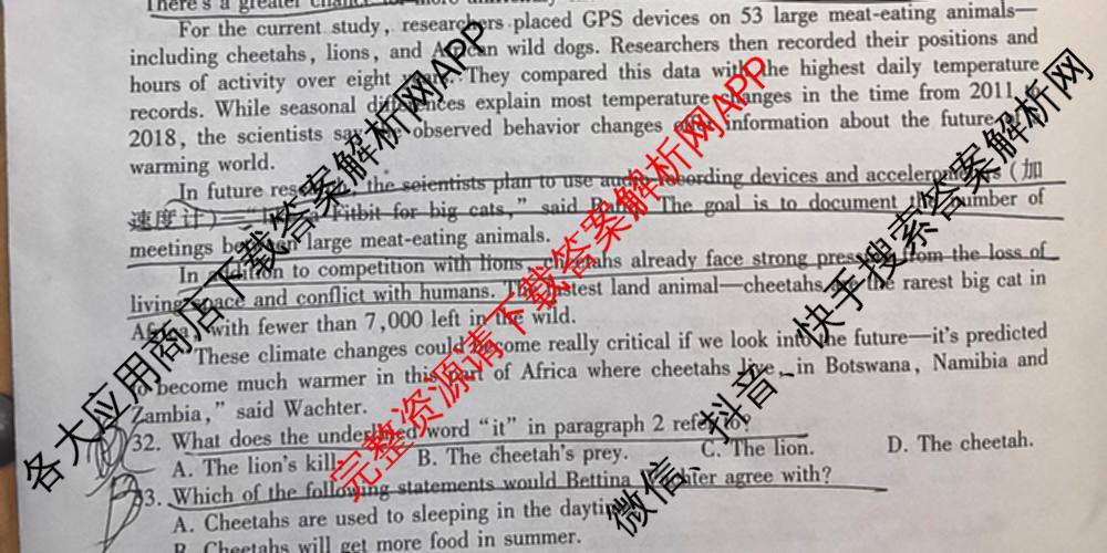 甘肃省2025年高三综合模拟检测卷(4月): 含历史、数学、语文试卷解析英语试题