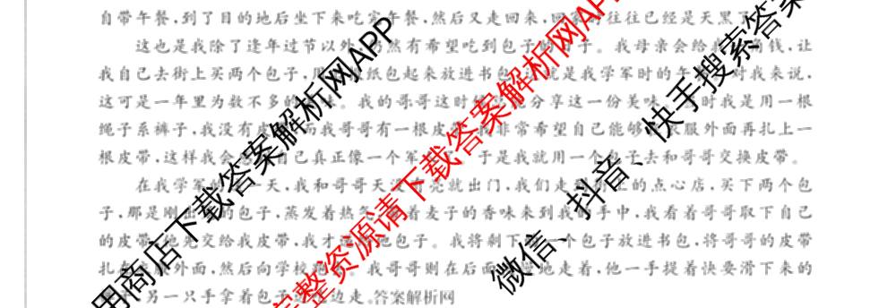 百师联盟2026届高三仿真模拟考试(五)各科答案及试卷（含物理(百E)、数学(百B)、地理(百N)等）语文试题