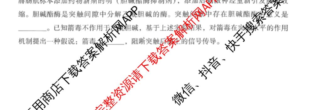 山东省潍坊市2026届高三阶段性诊断监测(2025.11)（含政治、数学、地理等）生物试题