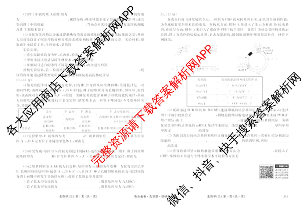 衡水金卷先享题调研卷2026年普通高等学校招生全国统一考试模拟试题(三)3各科答案及试卷(已更新化学(山东专版)、历史(HN)、文综(新教材)等91份)生物试题