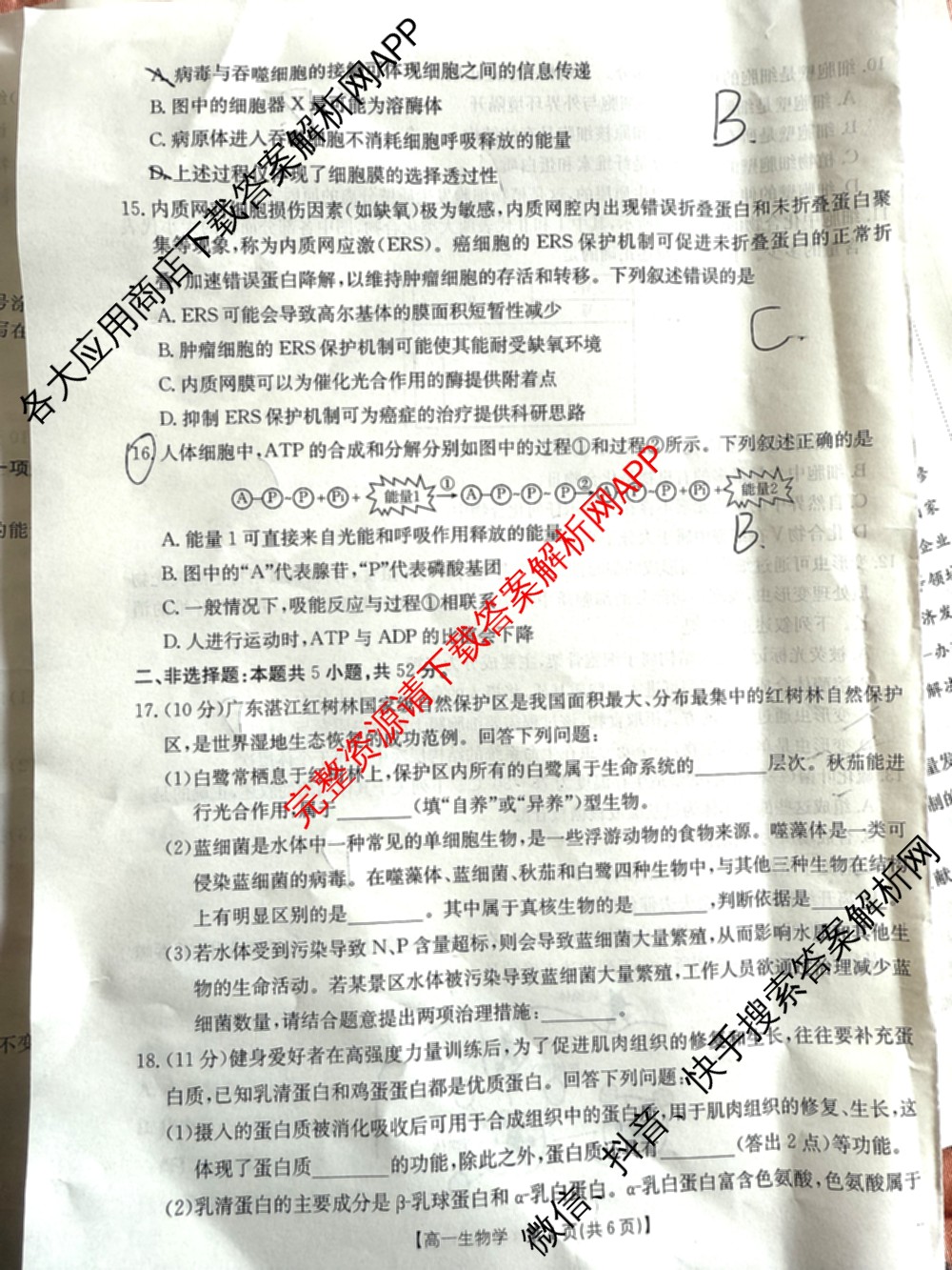 2025-2026学年三晋联盟山西名校高一12月联合考试（含英语、历史、物理等）生物试题