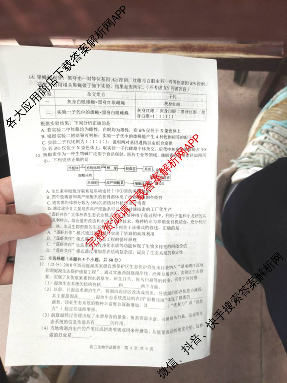 益阳市2026届高三9月教学质量监测试卷及答案汇总（9科全）生物试题