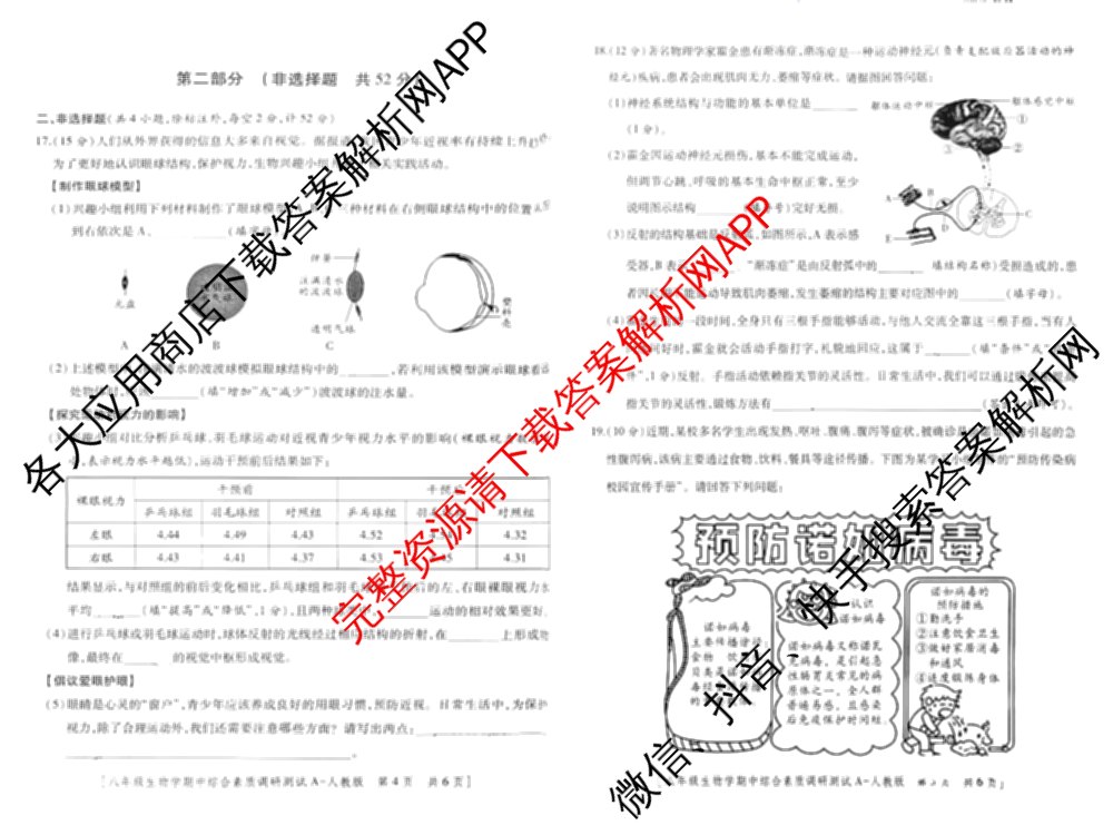 陕西省2025~2026学年度第一学期期中综合素质调研测试八年级[试卷类型A]试卷及答案汇总（8科全）生物试题