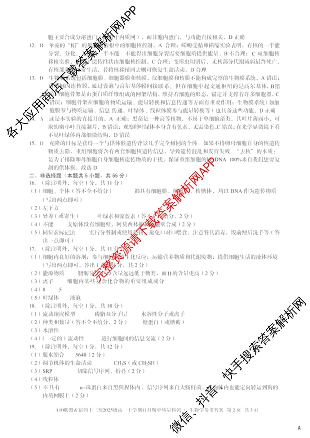 A10联盟&宿州十三校2025级高一上学期11月期中质量检测试卷及答案汇总（19科全）生物答案