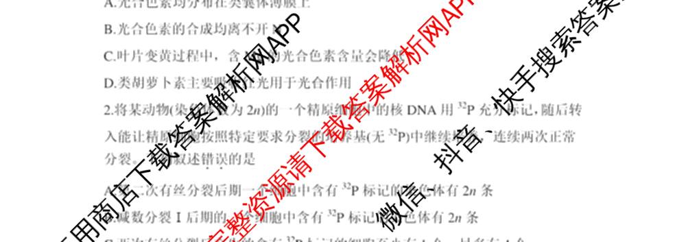 安徽省皖豫联考2025-2026学年高三上学期11月期中(无标题)试卷及答案汇总（含数学 历史 英语等9份）生物试题