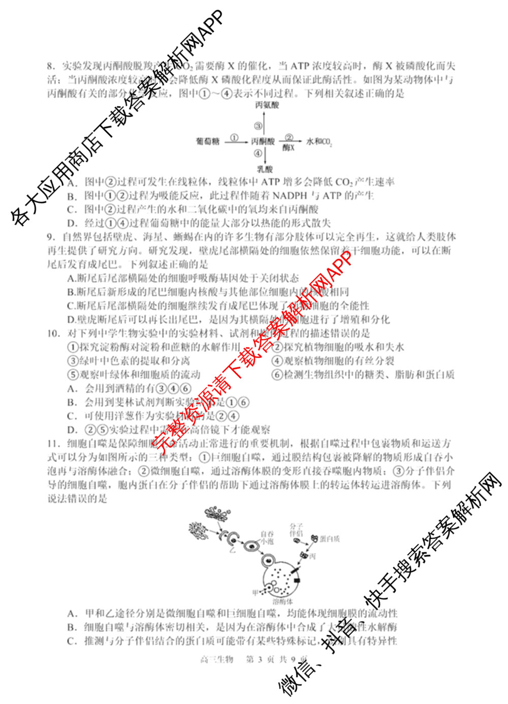 射洪中学高2023级高三上期期中考试试卷及答案汇总: 含地理 生物 英语试卷解析生物试题