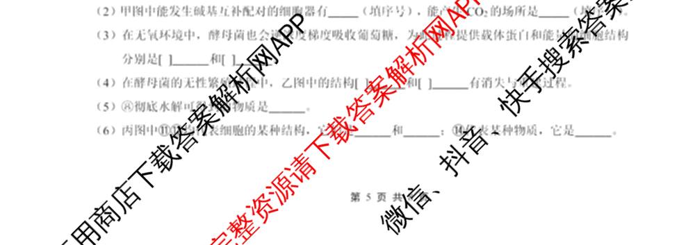 重庆外国语学校2026届高三(上)10月月考(四)(含英语、地理、语文等)生物试题 重庆外国语学校2026届高三(上)10月月考(四)(含英语、地理、语文等)生物试题