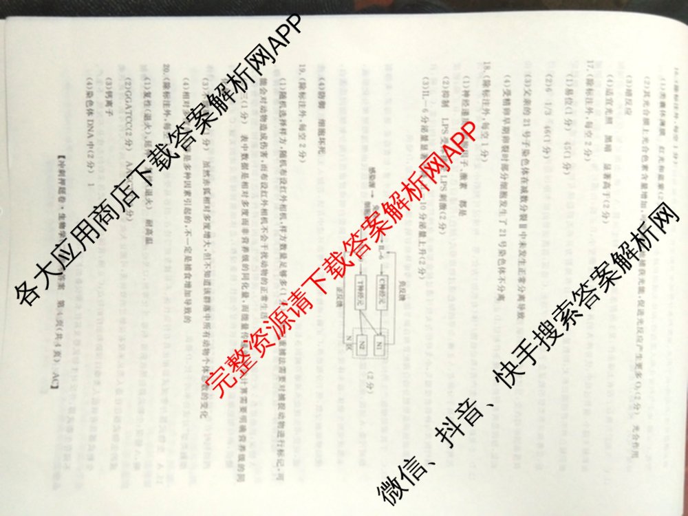 2026普通高等学校招生全国统一考试冲刺押题卷(二)2试卷及答案汇总（含物理 政治(C) 地理(C)等15份）生物答案