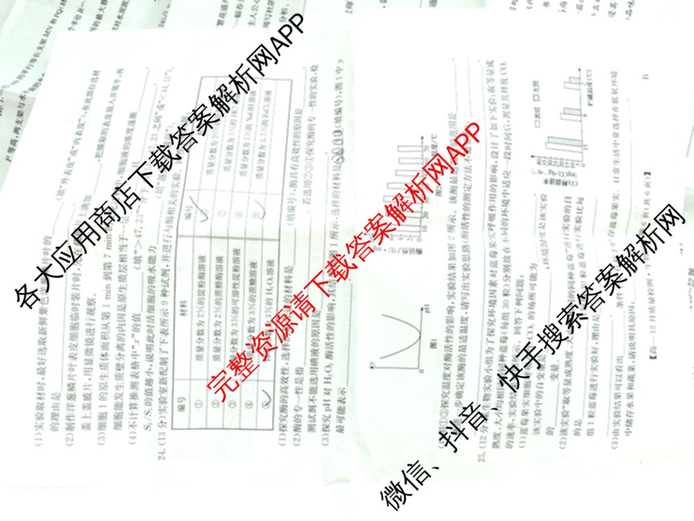 九师联盟2024年高一12月质量检测试卷及答案汇总(已更新地理(人教) 政治(A) 物理等9份)生物试题
