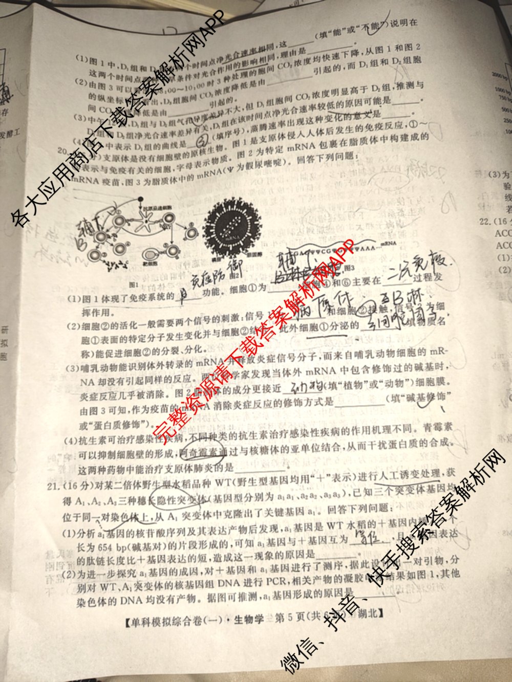 2025新高考单科模拟综合卷(三)3试卷及答案汇总（含历史(湖南) 物理(河北) 生物(河北)等36份）生物试题