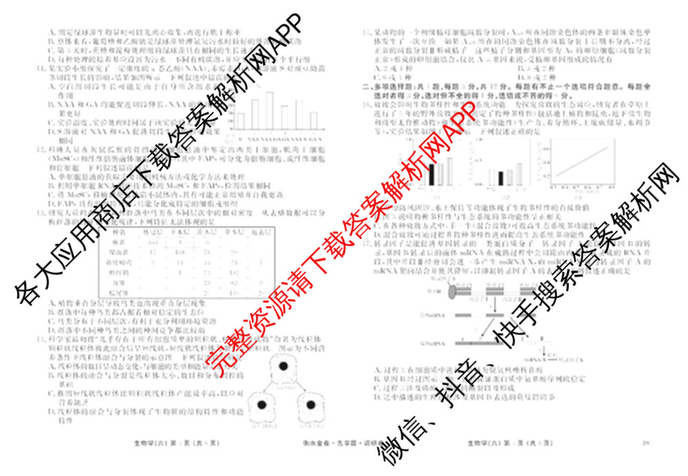 衡水金卷先享题调研卷2026年普通高等学校招生全国统一考试模拟试题(六)6（含地理(HN) 物理(HU) 物理(JS)等）生物试题