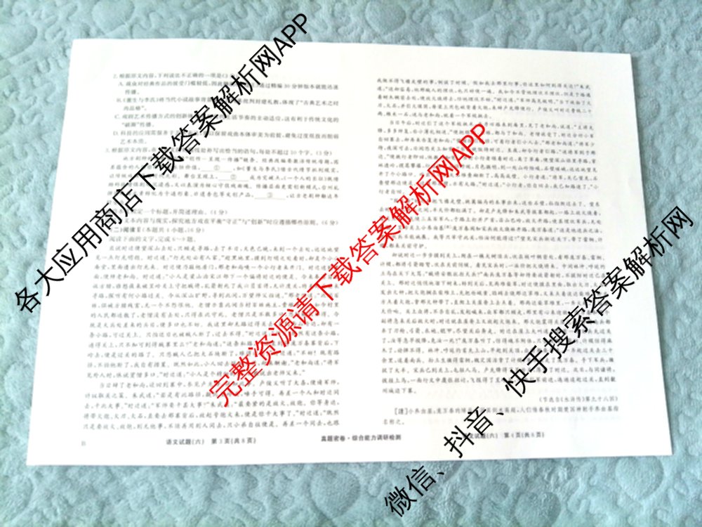 衡水真题密卷2025-2026学年度综合能力调研检测(六)6（含化学(2)、政治(2)、生物(2)等）语文试题