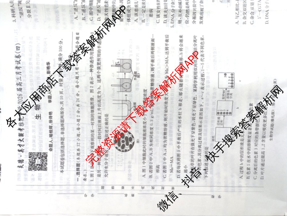 炎德英才大联考雅礼中学2026届高三月考试卷(四)试卷及答案汇总: 含数学、英语、语文试卷解析生物试题