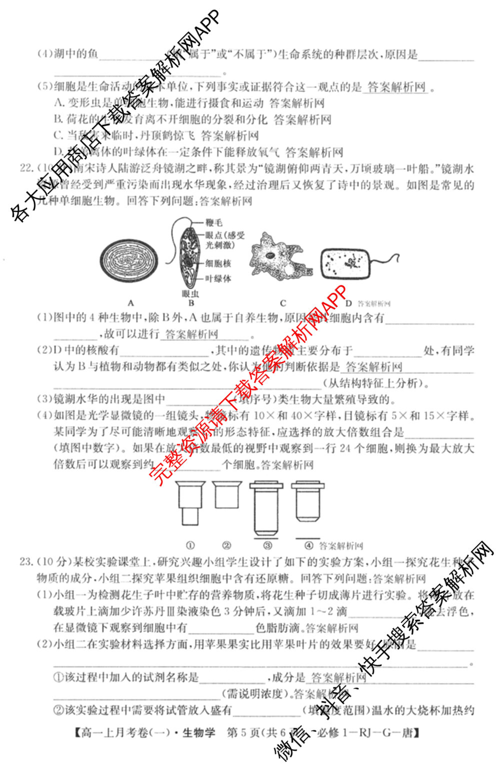 2025~2026全国名校高一上学期第一次月考试卷各科答案及试卷（含物理(必修第一册-RJ-J-唐) 政治(必修1-BB-J-唐) 历史(《中外历史纲要上》-BB-J-唐)等）生物试题