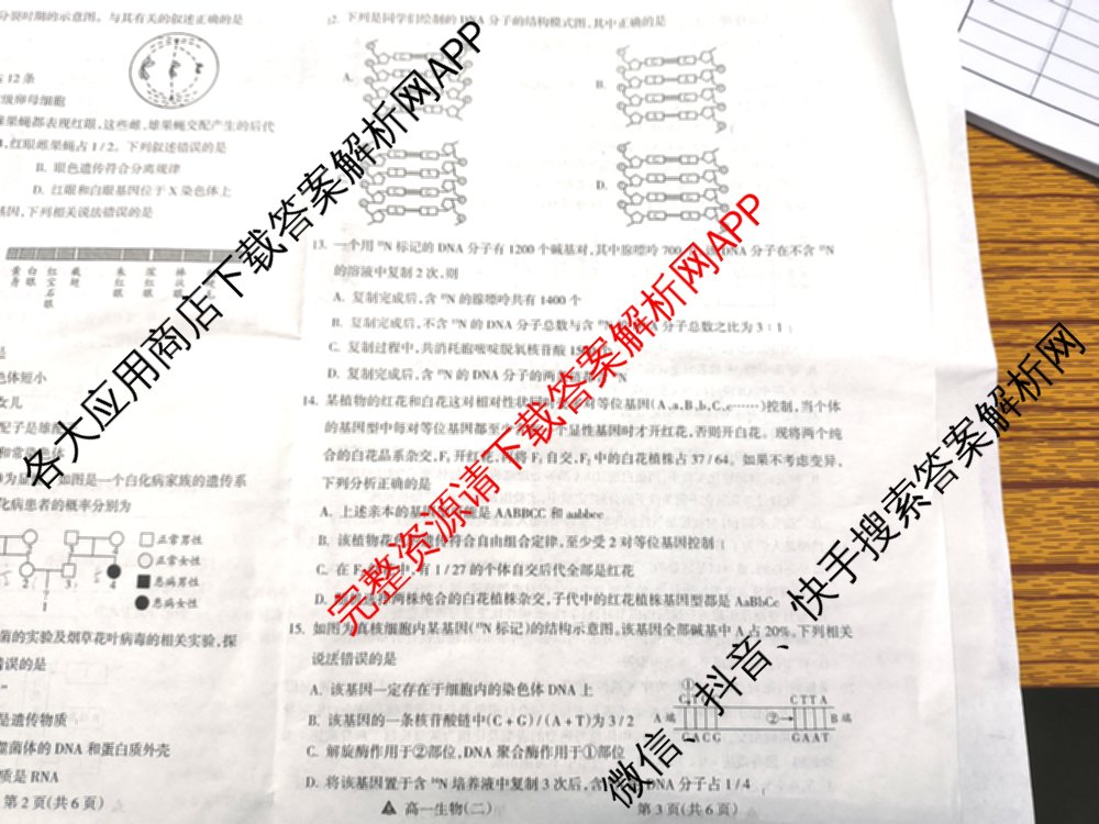 2023-2024高一第二学期高中新课程模块期中考试试题(卷): 含物理、政治、数学试卷解析生物试题
