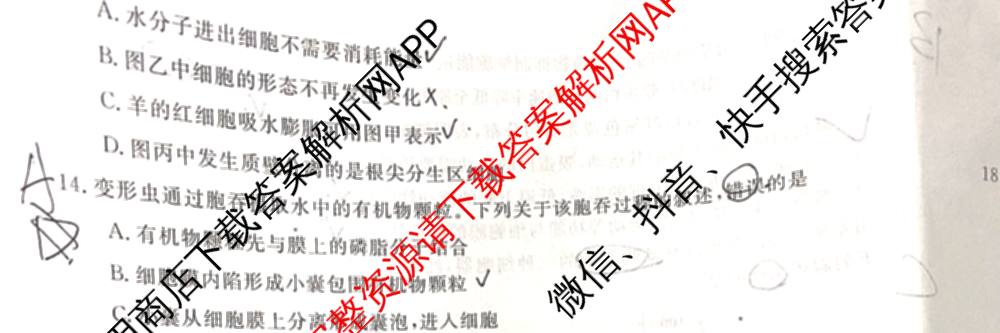 陕西省2025~2026第一学期12月质量检测高一(6192A)试卷及答案汇总（含化学 数学 生物等）生物试题
