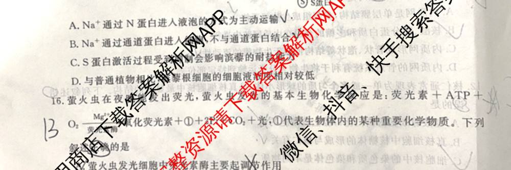 陕西省2025~2026第一学期12月质量检测高一(6192A)试卷及答案汇总（含化学 数学 生物等）生物试题