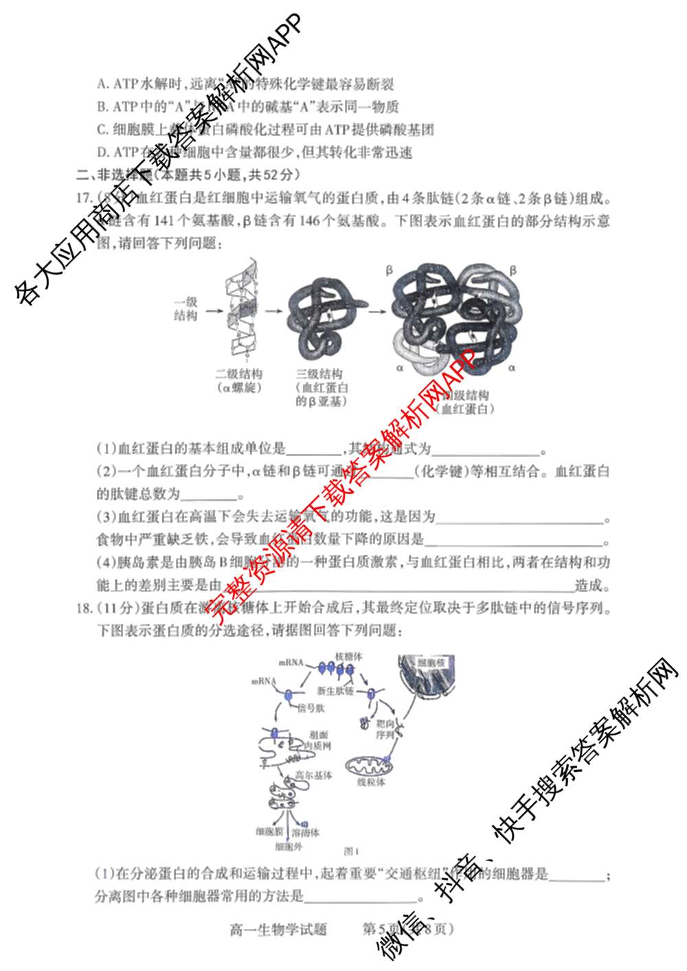 三重教育山西省2025-2026学年高一选科调研检测(12月)各科答案及试卷（含化学、政治、英语等9份）生物试题