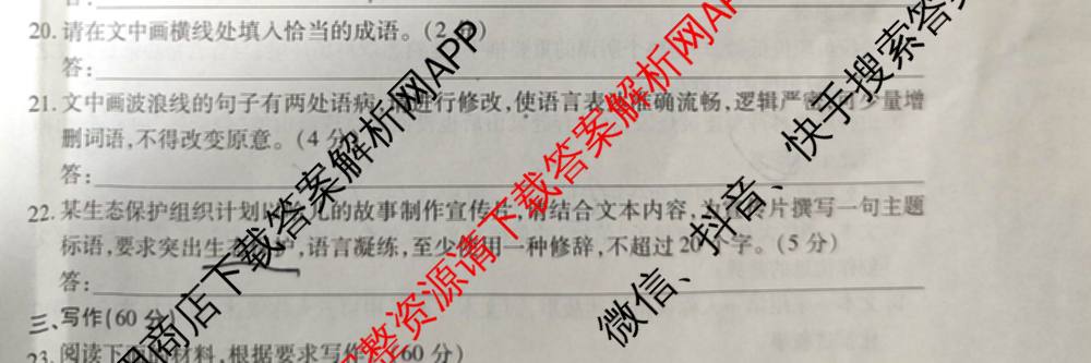 天一大联考2024-2025学年高一年级阶段性测试(四)（含地理、地理(宣城专版)、物理(池州专版)等20份）语文试题