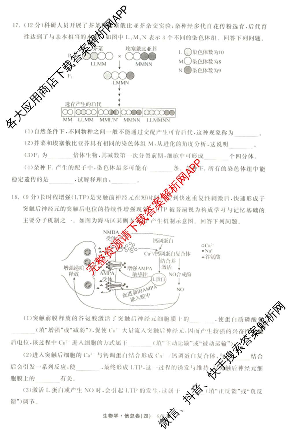 天舟高考衡中同卷2026年普通高等学校招生全国统一考试模拟信息卷(四)4试卷及答案汇总: 含历史(GY) 地理(WY) 理综(新疆版)试卷解析生物试题