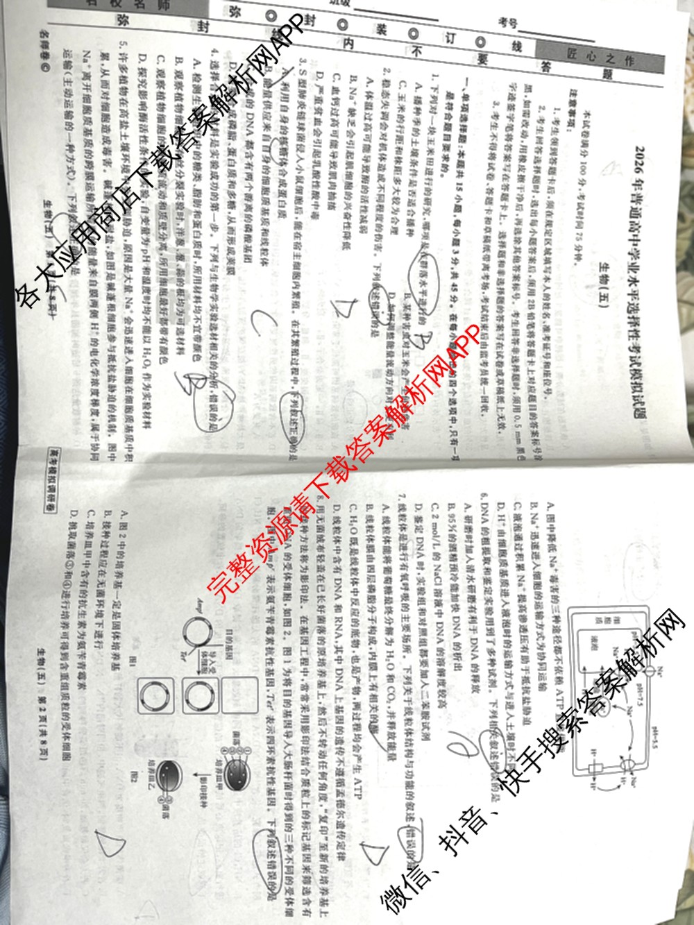 衡水名师卷高考模拟调研卷 2026年普通高等学校招生全国统一考试模拟试题(五)5（29科全）生物试题