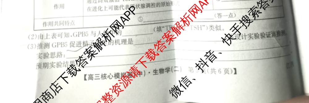 九师联盟2025~2026学年高三核心模拟卷(中)(二)试卷及答案汇总（含历史(A1)、物理(A)、物理(D1)等）生物试题