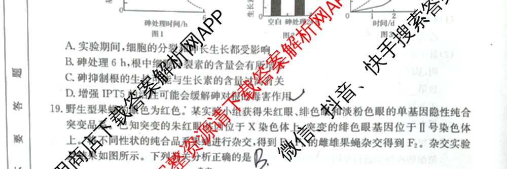 2025届黑吉辽高三年级入学考试(HJL)试卷及答案汇总（含语文 英语 物理等）生物试题