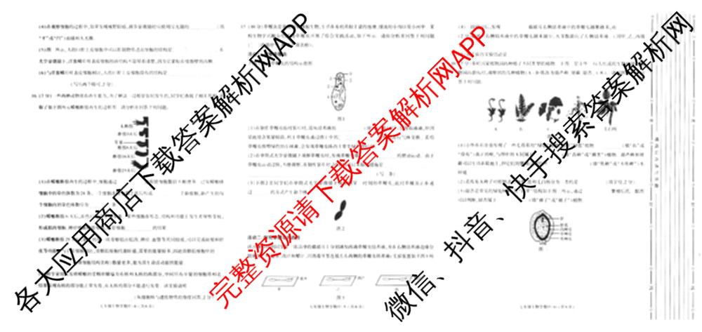 陕西省2025~2026学年度第一学期期中质量调研七年级试卷及答案汇总（7科全）生物试题