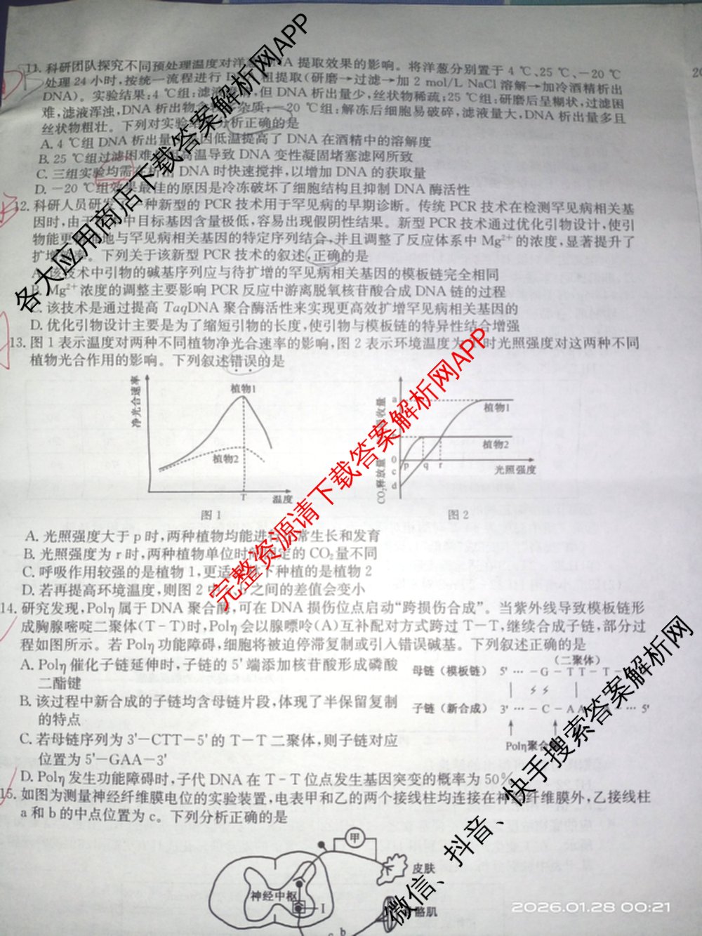 九师联盟2025~2026学年高三核心模拟卷(中)(二)试卷及答案汇总（含历史(A1)、物理(A)、物理(D1)等）生物试题