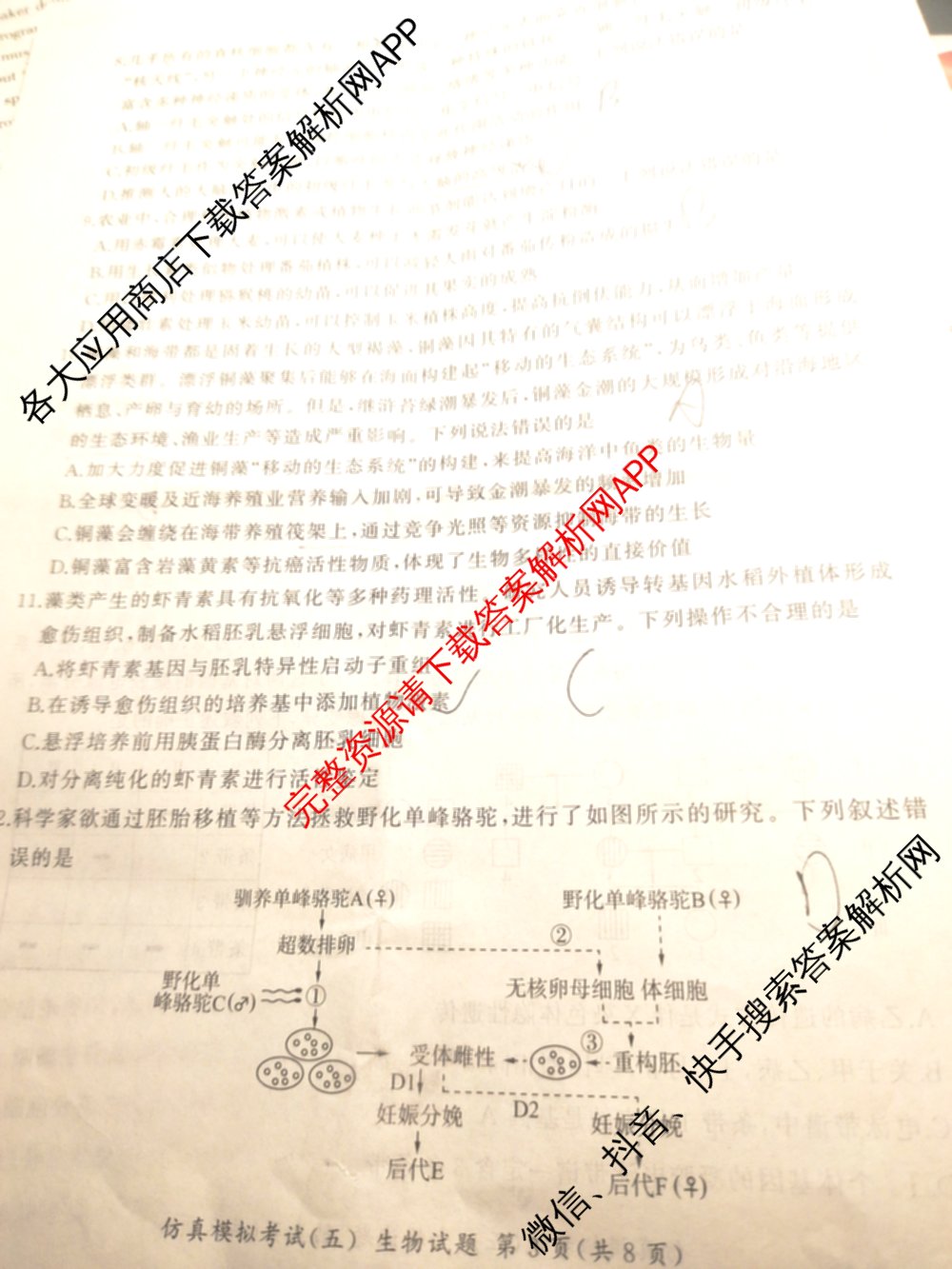 百师联盟2026届高三仿真模拟考试(五)各科答案及试卷（含物理(百E)、数学(百B)、地理(百N)等）生物试题
