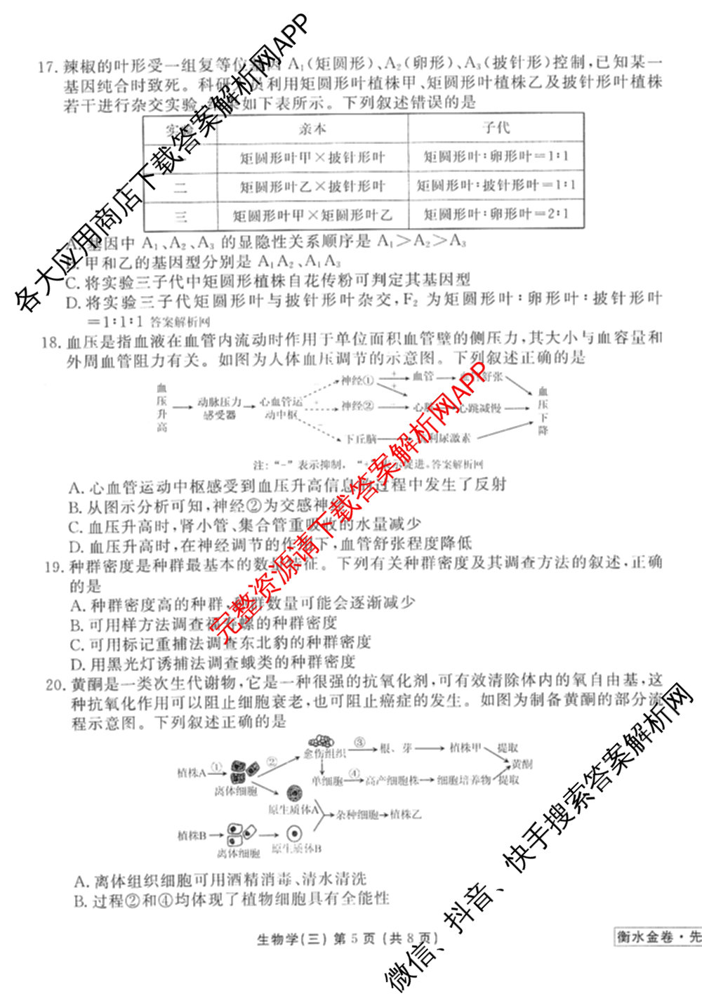 衡水金卷先享题调研卷2026年普通高等学校招生全国统一考试模拟试题(三)3各科答案及试卷(已更新化学(山东专版)、历史(HN)、文综(新教材)等91份)生物试题