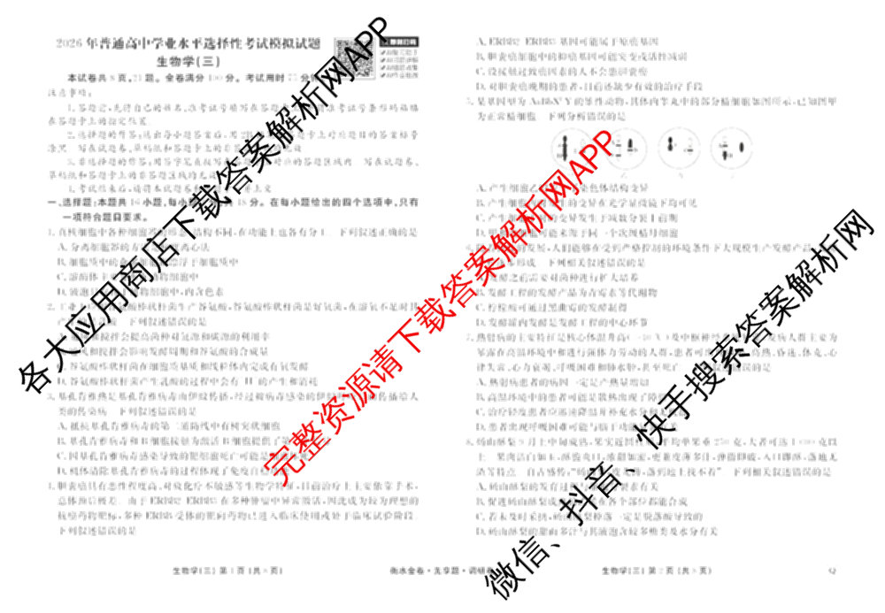 衡水金卷先享题调研卷2026年普通高等学校招生全国统一考试模拟试题(三)3各科答案及试卷(已更新化学(山东专版)、历史(HN)、文综(新教材)等91份)生物试题