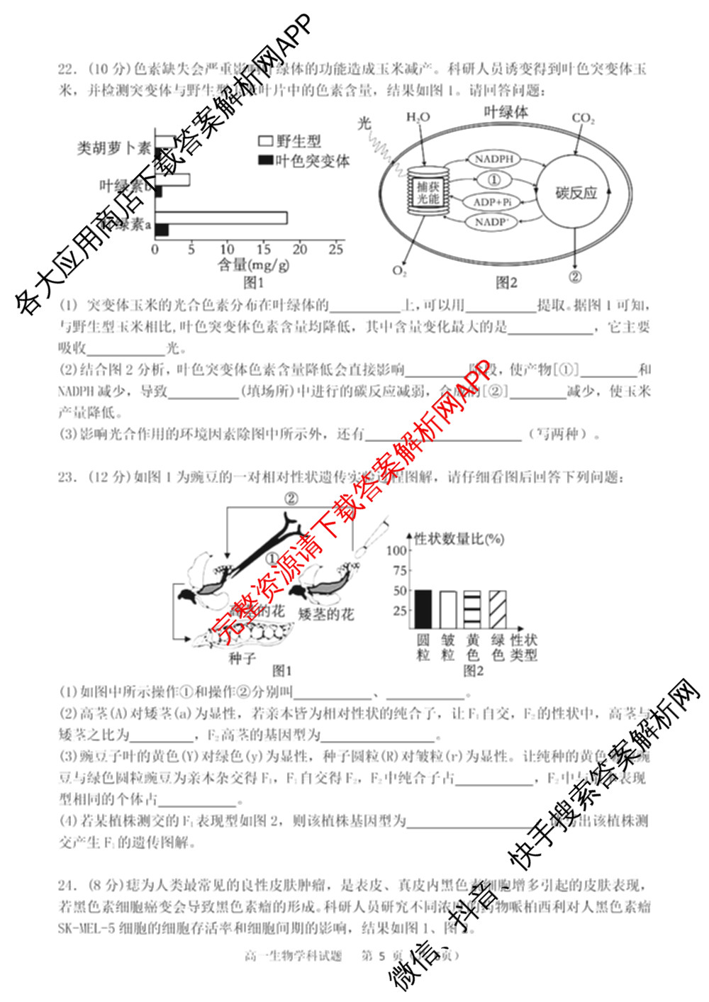 2025学年高一年级第二学期宁波三锋教研联盟期末联考试卷及答案汇总（含化学、生物、历史等9份）生物试题