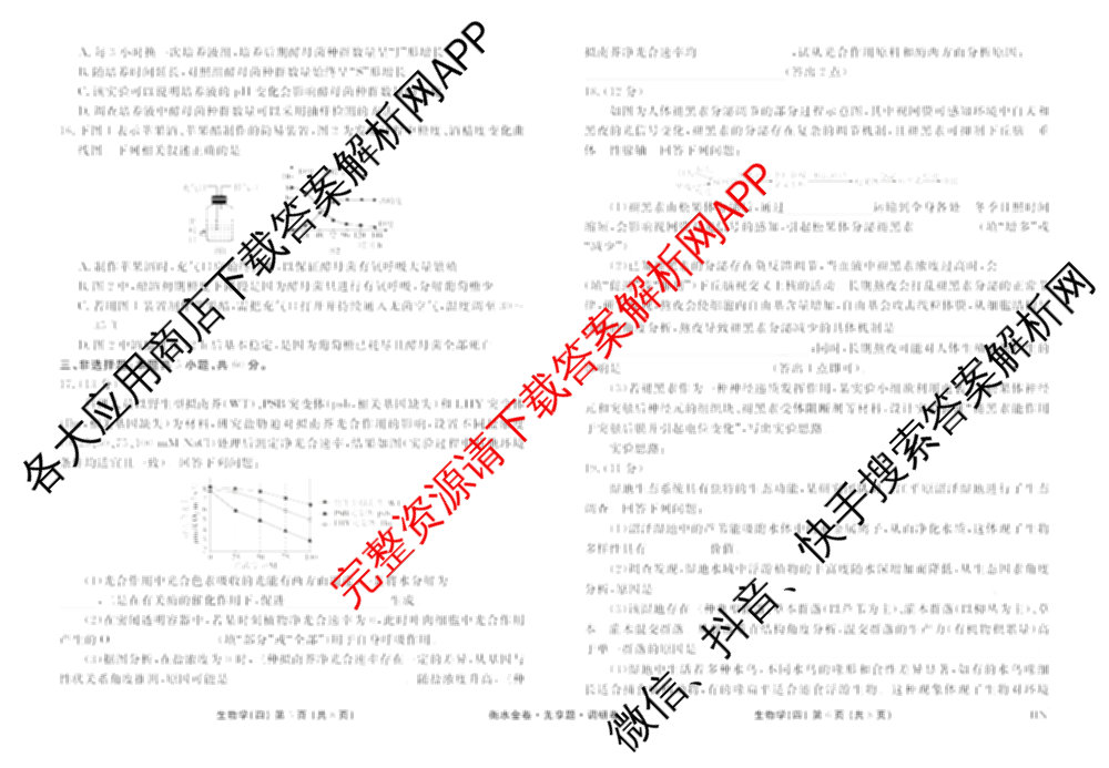 衡水金卷先享题调研卷2026年普通高等学校招生全国统一考试模拟试题(四)4(已更新生物(山东专版) 理综 历史(JS)等91份)生物试题