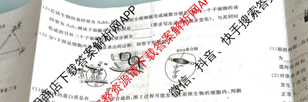 陕西省2028届高一第二学期期末质量检测(6464A)试卷及答案汇总（9科全）生物试题