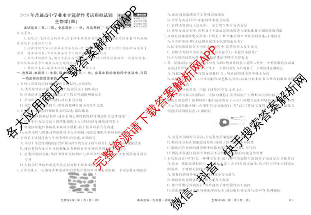 衡水金卷先享题调研卷2026年普通高等学校招生全国统一考试模拟试题(四)4(已更新生物(山东专版) 理综 历史(JS)等91份)生物试题