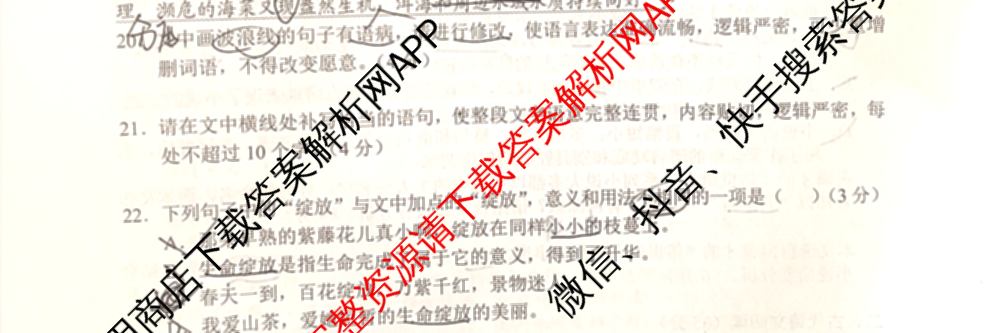 大理州2025届高中毕业生第一次复习统一检测试卷及答案汇总（含历史、英语、生物等9份）语文试题