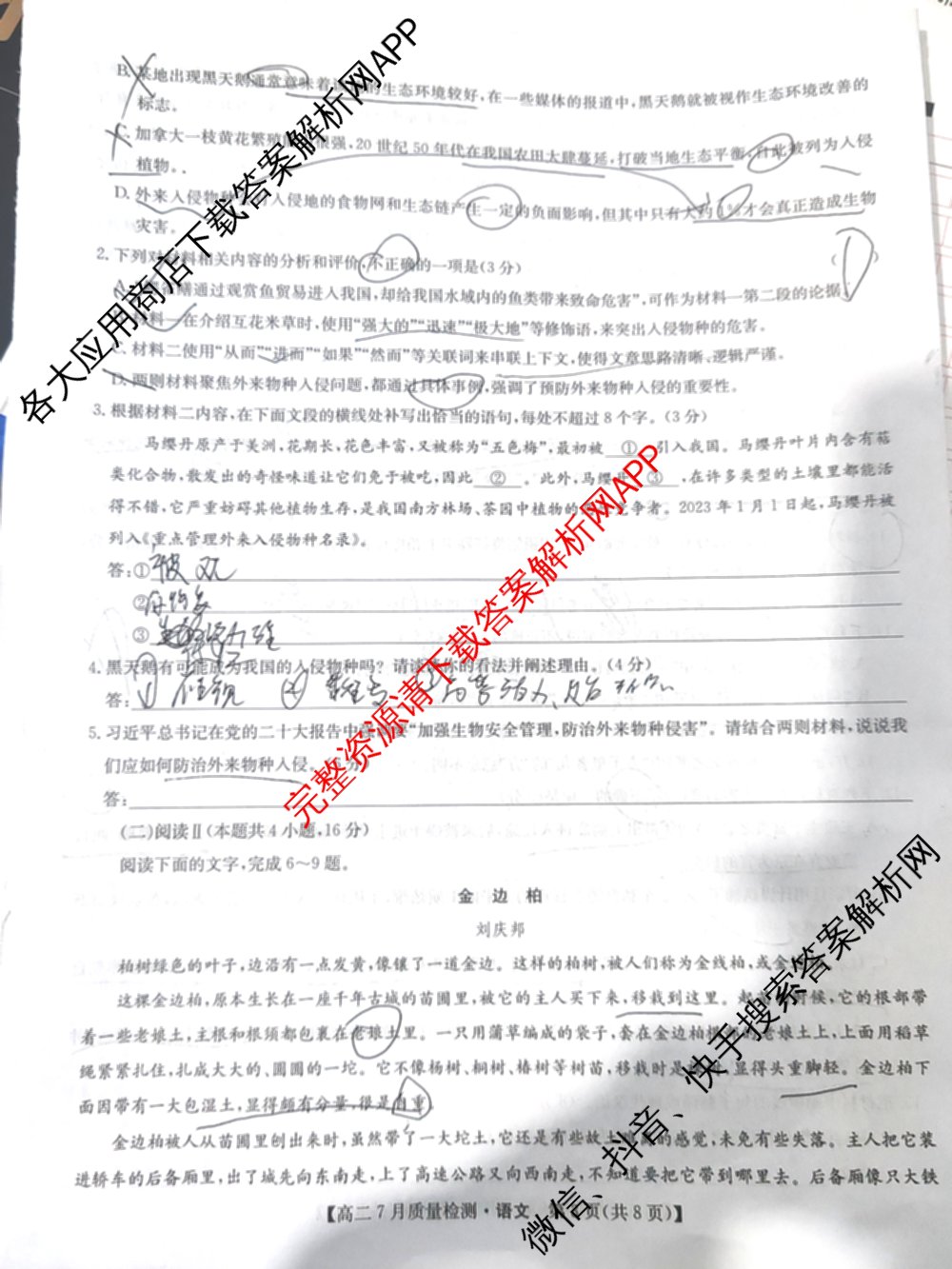 九师联盟江西省2024-2025学年高二7月质量检测（含英语 语文 历史(K)等）语文试题