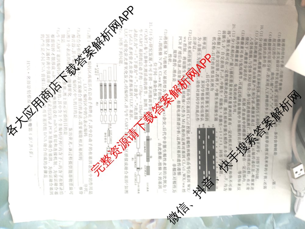 2026届高三总复名师原创模拟(五)5各科答案及试卷: 含政治(CQX6) 地理(CQX6) 生物(GDX6)试卷解析生物试题