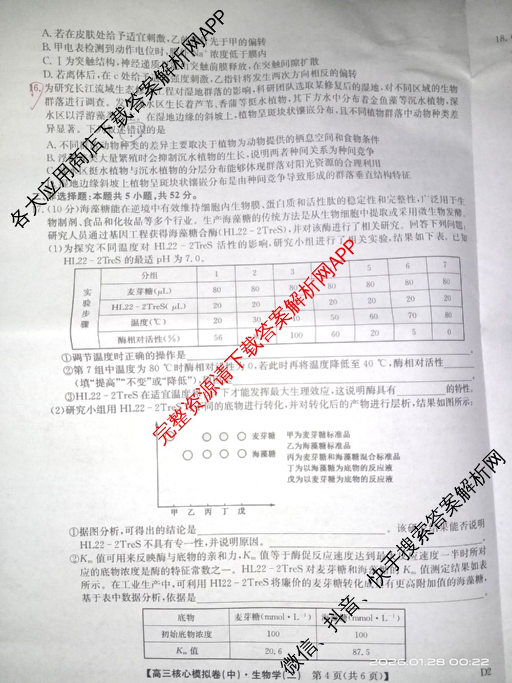 九师联盟2025~2026学年高三核心模拟卷(中)(二)试卷及答案汇总（含历史(A1)、物理(A)、物理(D1)等）生物试题