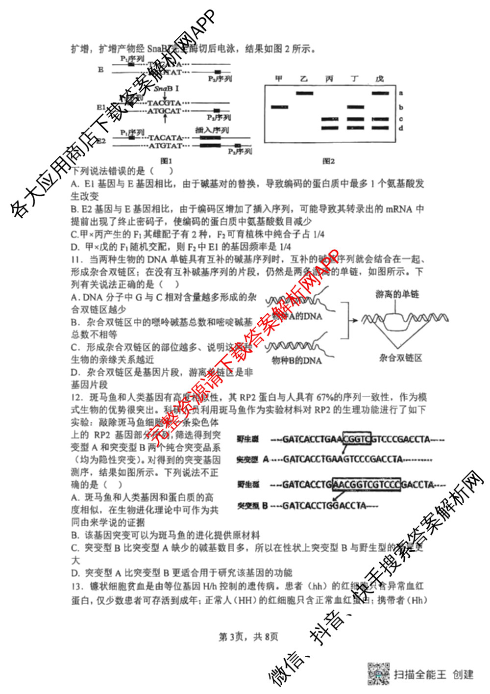 山西大学附中2025~2026学年第一学期高三10月模块诊断(总第五次)(含物理、历史、地理等9份)生物试题 山西大学附中2025~2026学年第一学期高三10月模块诊断(总第五次)(含物理、历史、地理等9份)生物试题